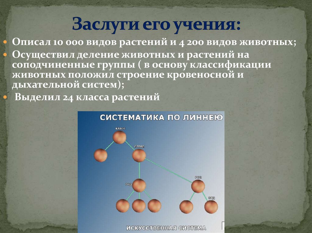 Заслуги его учения: