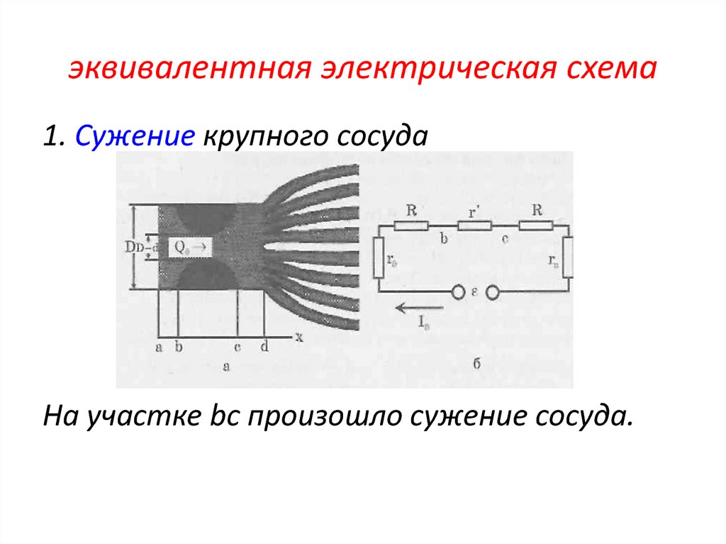 Эквивалентная электрическая схема тканей