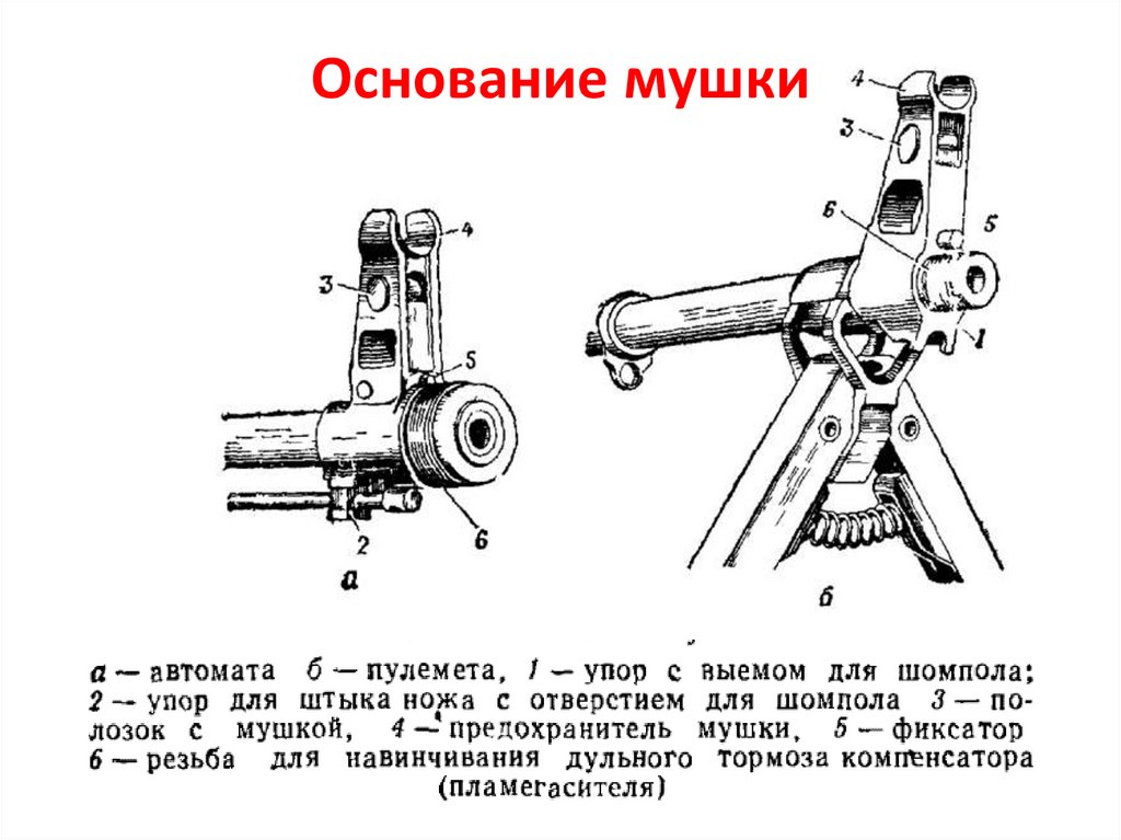 Высота мушки