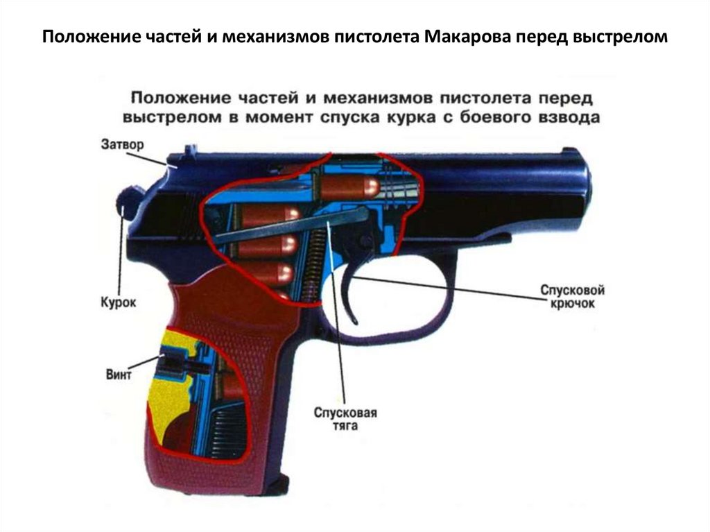 Схема пистолета ПМ Макарова. Строение пистолета Макарова криминалистика. Основные части пистолета ИЖ-71.