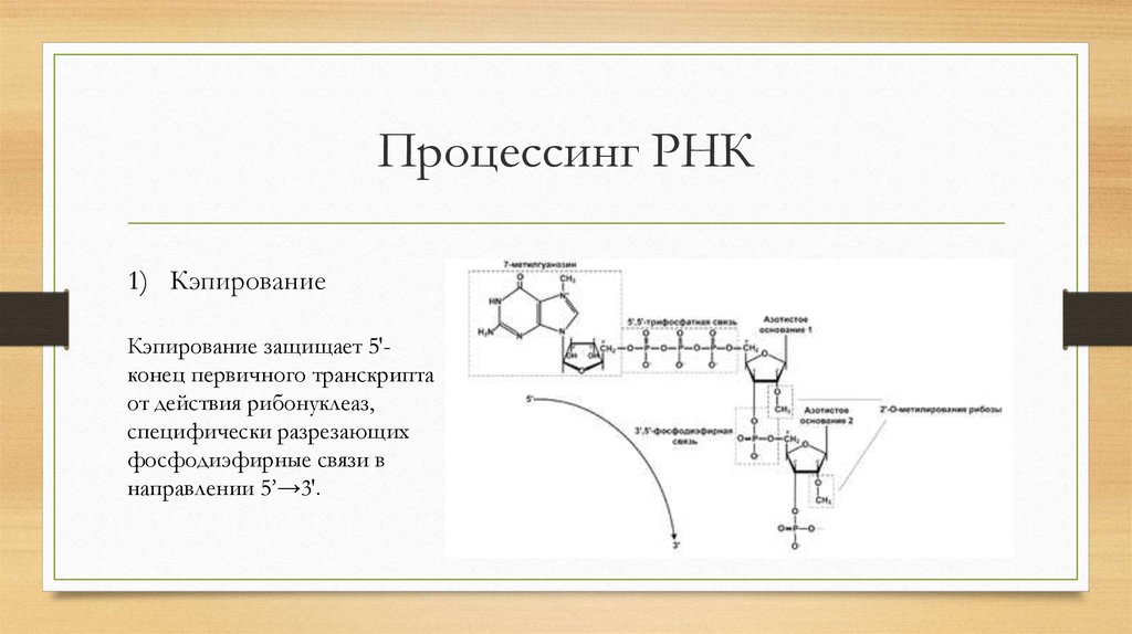 Процессинг осуществляется по схеме