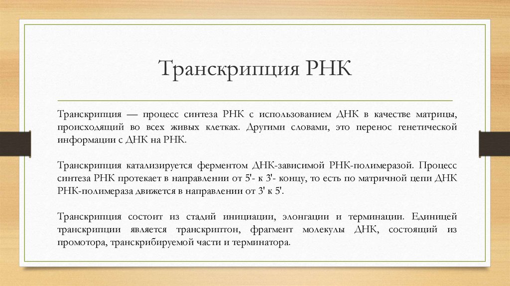 Известно что все виды рнк синтезируются. Транскрипция РНК. Транскрипция всех РНК. Транскрипция это процесс синтеза. Ошибки при транскрипции РНК.