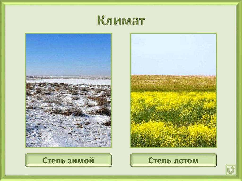 Степная климатическая зона. Зона степей климат. Климат степи зима и лето. Климат Степной зоны России. Климат степей летом.