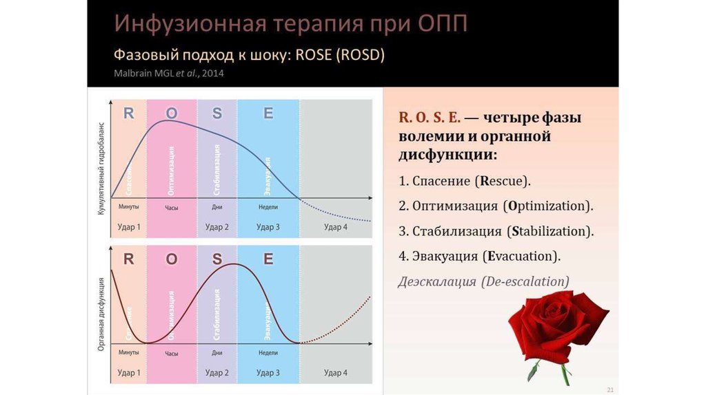 Инфузия шок. Инфузионная терапия концепция Rose. Концепция Rose. Стратегии инфузионной терапии. Стратегия Rose инфузионная терапия.