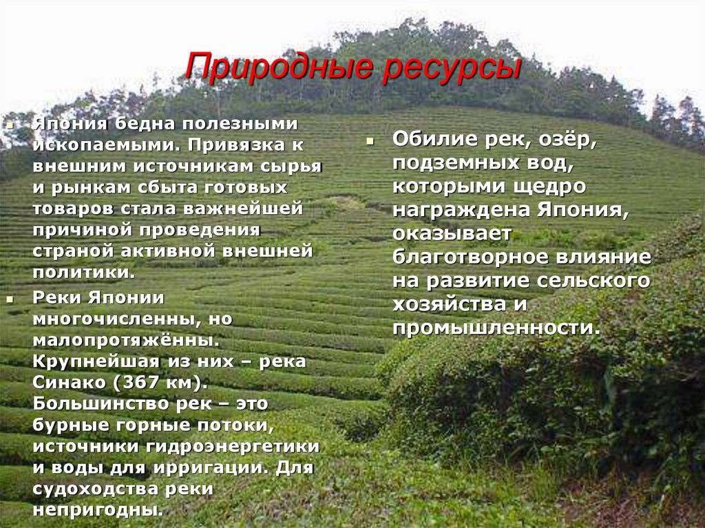 Природные ресурсы японии. Почему Япония бедна природными ресурсами. Почему Япония так бедна полезными ископаемыми. Япония бедна полезными ископаемыми, однако ведётся добыча. Почему Япония бедна полезными ископаемыми и какие ресурсы есть.