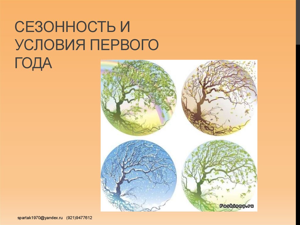 Сезонность. Сезонные условия. Сезонный и несезонный бизнес. Сезонность условий.