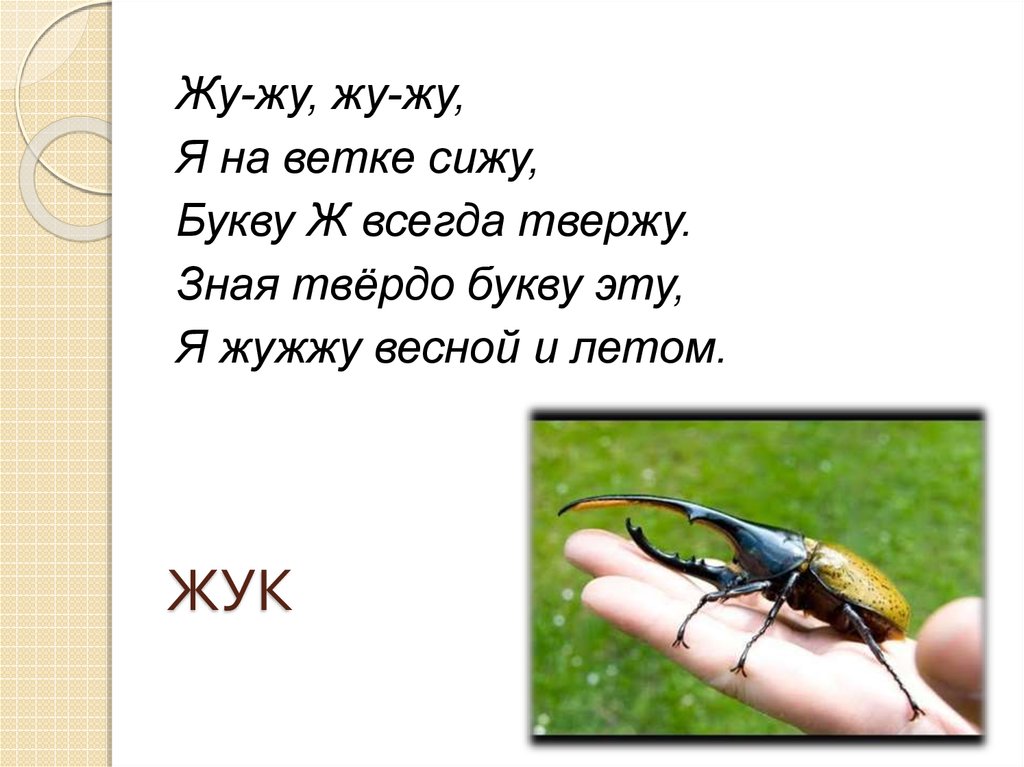 Буква ж презентация. Все слова на букву ж. Водоем на букву ж. Характеристика буквы ж.