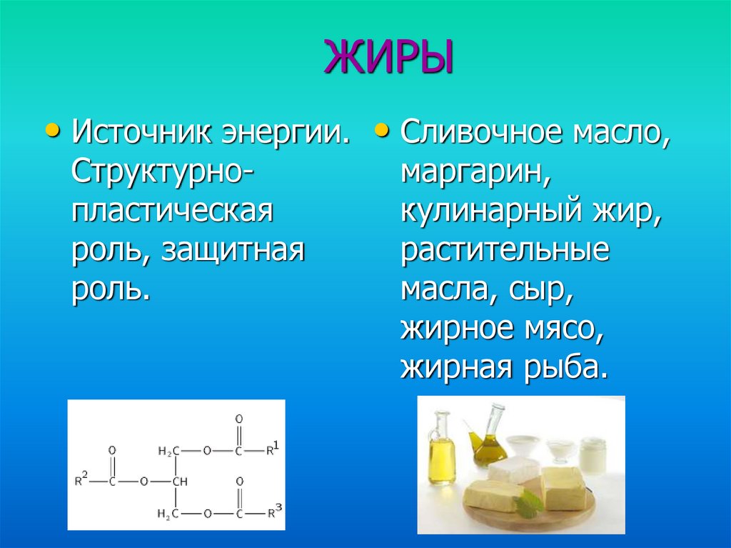 Источники жиров. Жиры источник энергии. Пластические жиры. Кулинарный жир. Названия кулинарных жиров.