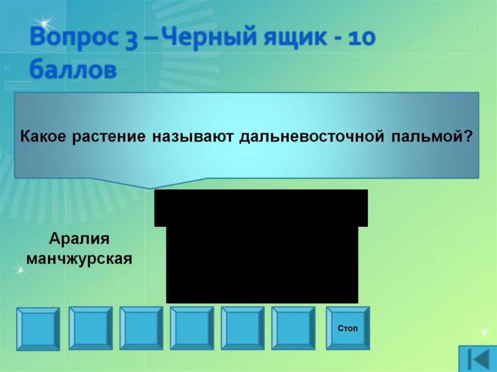 Вопрос 3 – Черный ящик - 10 баллов