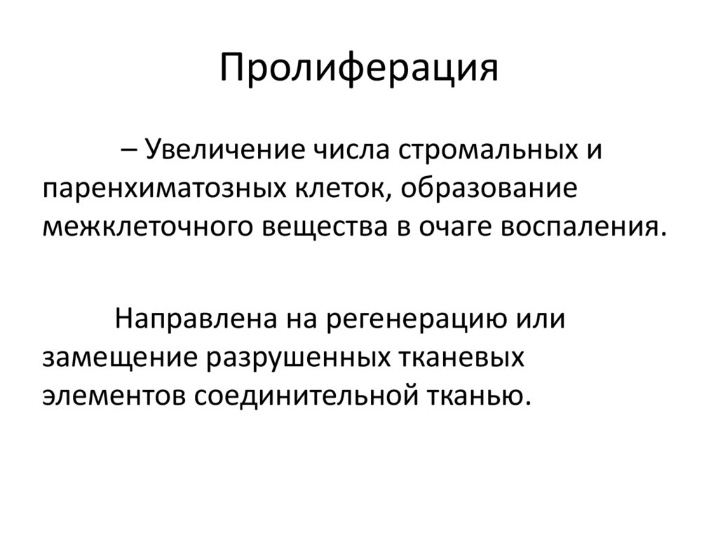 Принцип пролиферации в философию науки ввел