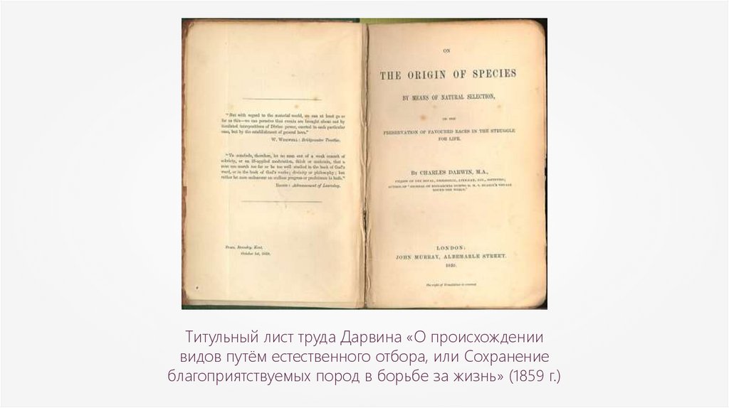 Происхождение видов 73 глава на русском. Книга Дарвина происхождение видов путем естественного отбора. Труд Дарвина происхождение видов. Титульный лист происхождение видов. Назовите главные труды ч Дарвина.