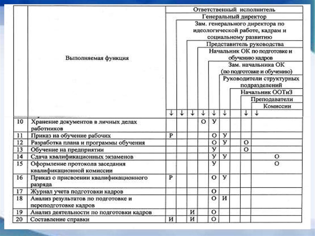 Функция генерального директора в организации. Функции генерального директора.