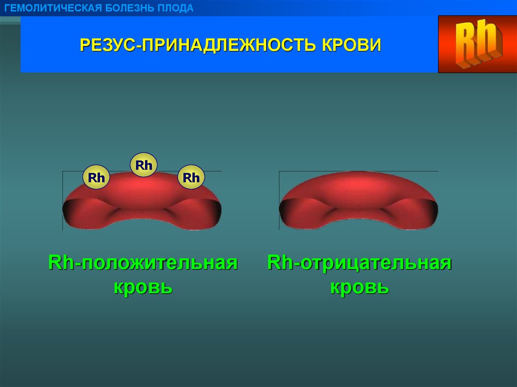 Гемолитическая болезнь плода презентация