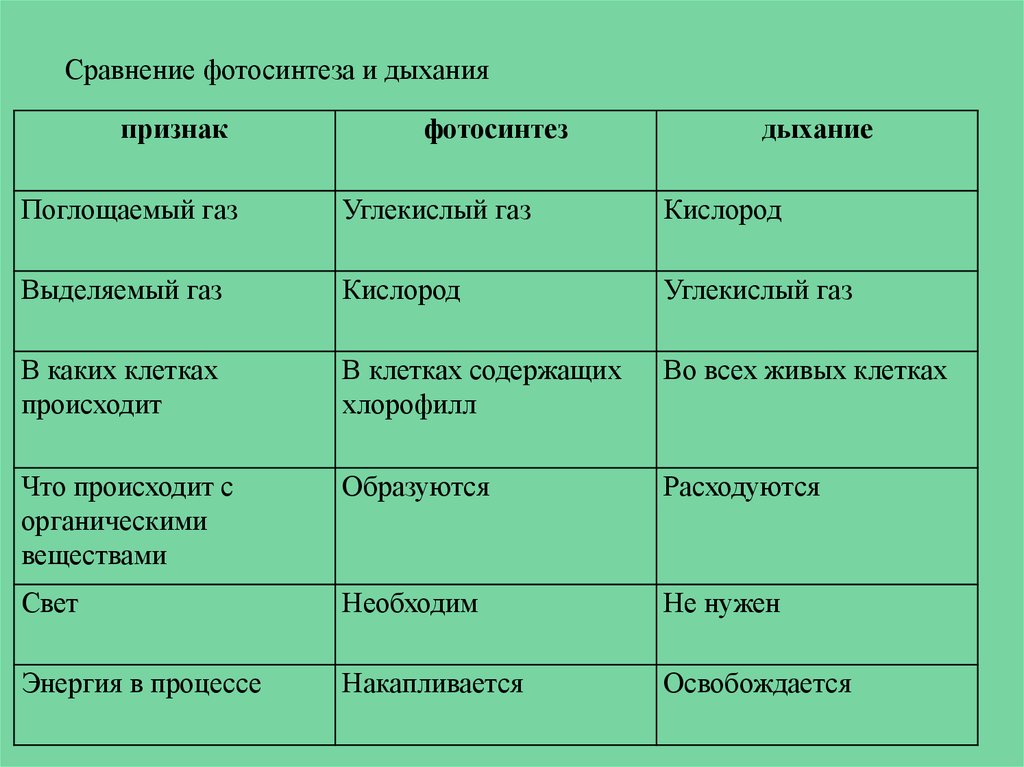 Сравнение процессоров фотосинтеза и дыхания таблица 6 класс ответы