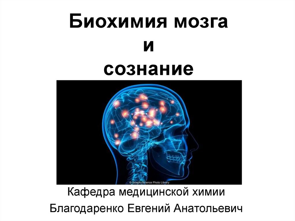 Сознание без мозга