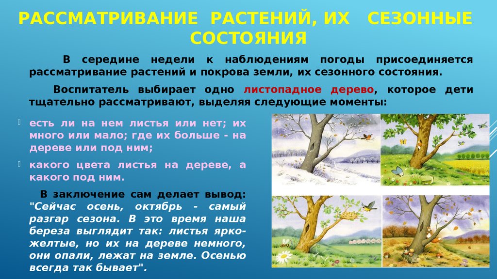 Какая наука изучает сезонные изменения природы