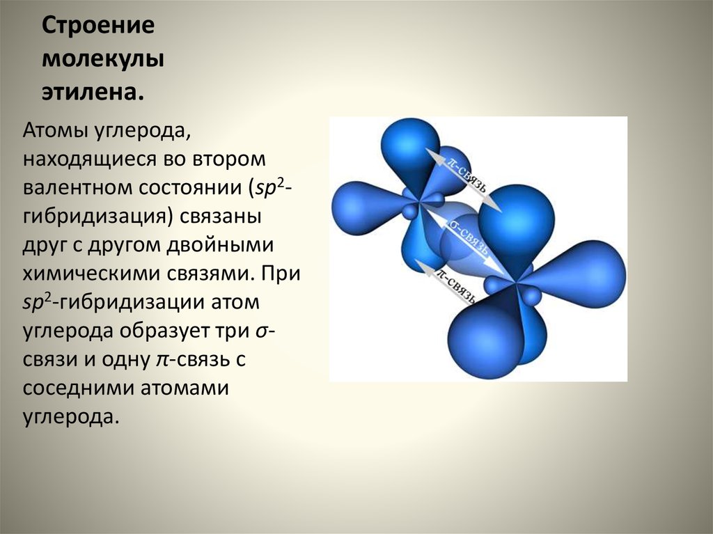 Этилен гибридизация атома. Строение молекулы этилена sp2. Пространственная структура молекулы sp2 гибридизации. Строение молекулы этилена sp2 гибридизация. Sp2 гибридизация алкенов.