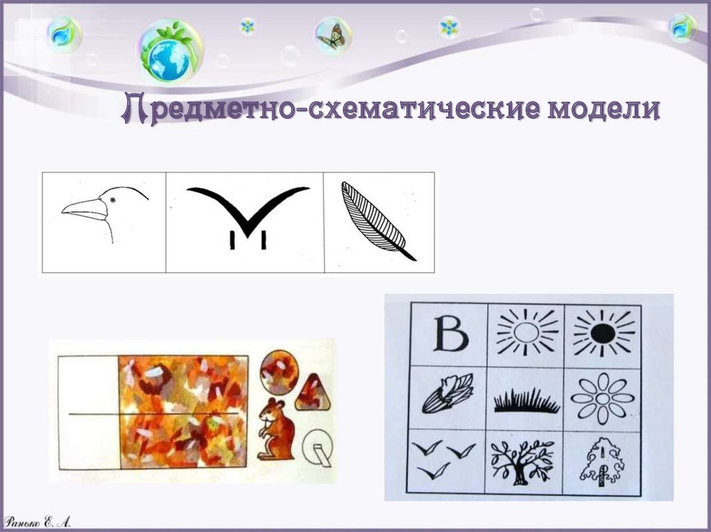 Модели эколого систематических групп для дошкольников картинки