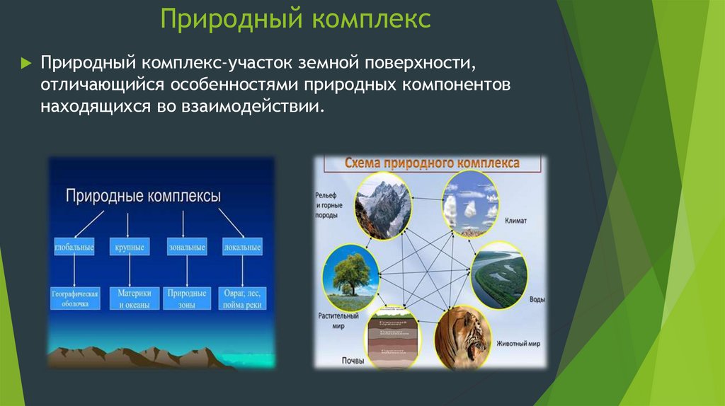 Характеристика природного комплекса по плану 6 класс география