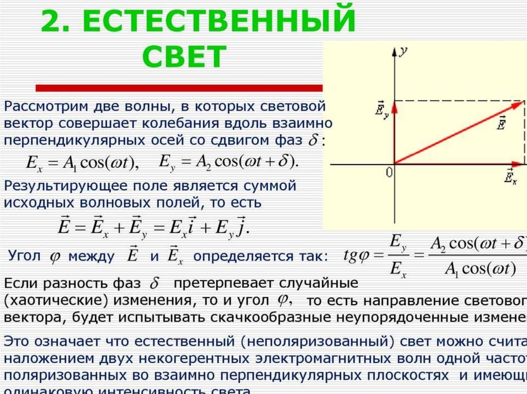 Вектор колебаний. Поляризация естественного света. Естественный свет. Естественный неполяризованный свет. Естественный и поляризованный свет.