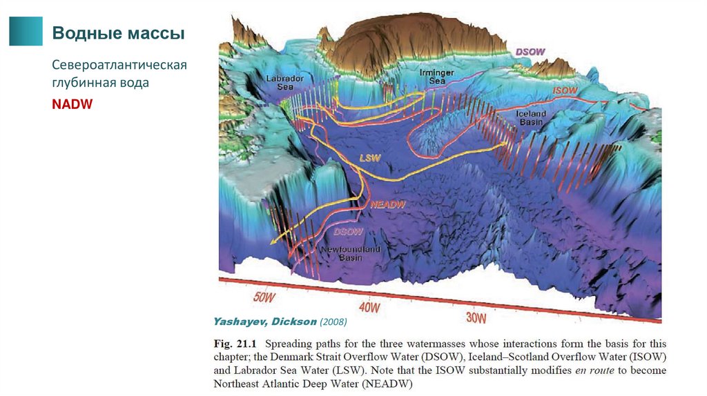 Водяные массы. Водные массы. Глубинные водные массы. Североатлантические глубинные воды. North Atlantic Deep Water.
