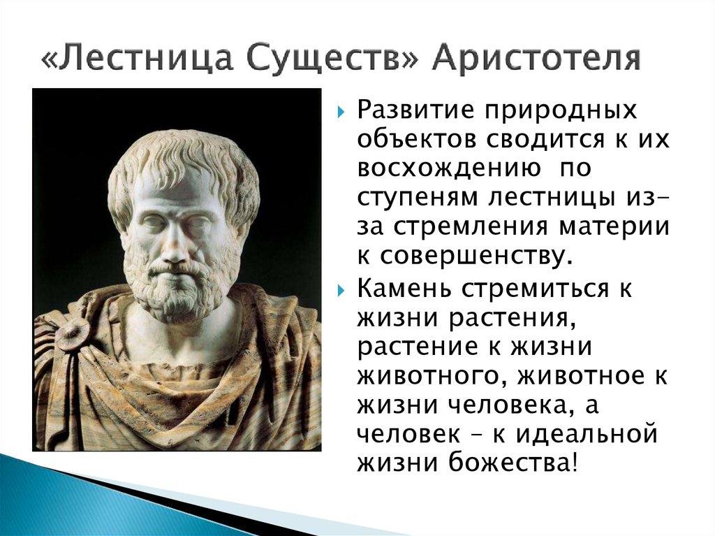 Эволюционные взгляды аристотеля. Лестница существ Аристотеля. Аристотель Эволюция. Аристотель эволюционное учение. Аристотель теория эволюции.