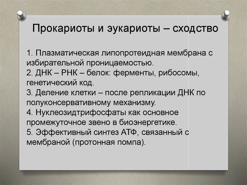 На основе материала параграфа составьте схему отражающую классификацию прокариот и особенности их