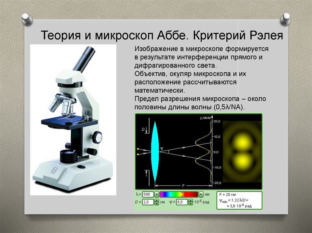 Окуляр микроскопа дает