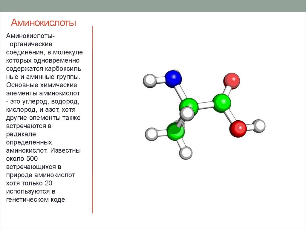 Строение аминокислот химия