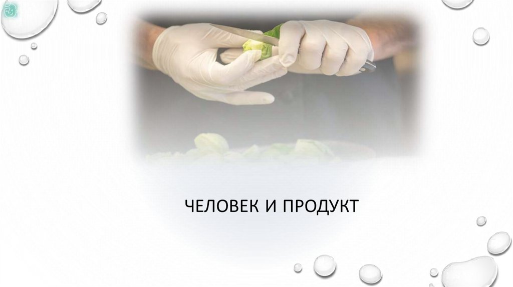 Человек и продукт