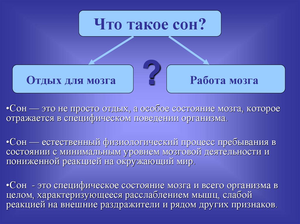 Что такое сон презентация