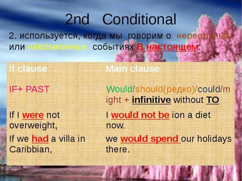 Conditional sentences презентация