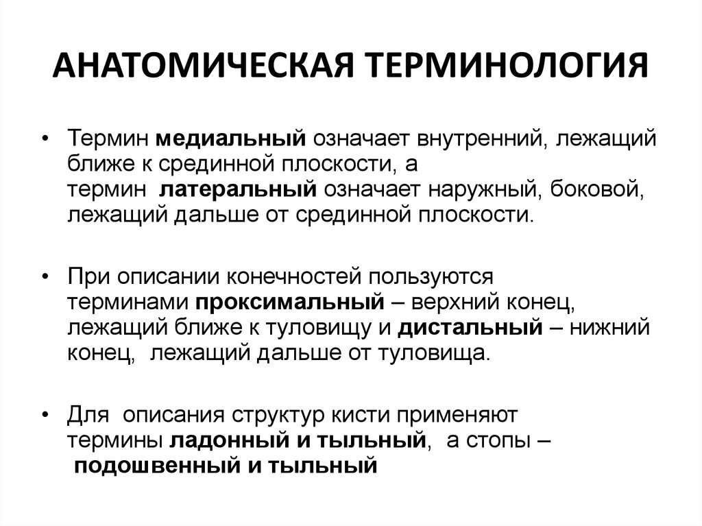 Русскую анатомическую терминологию разработал