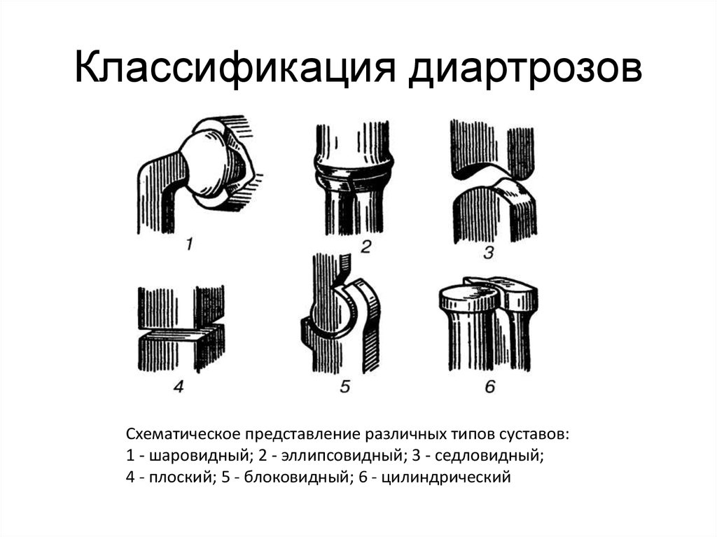 Классификация суставов схема