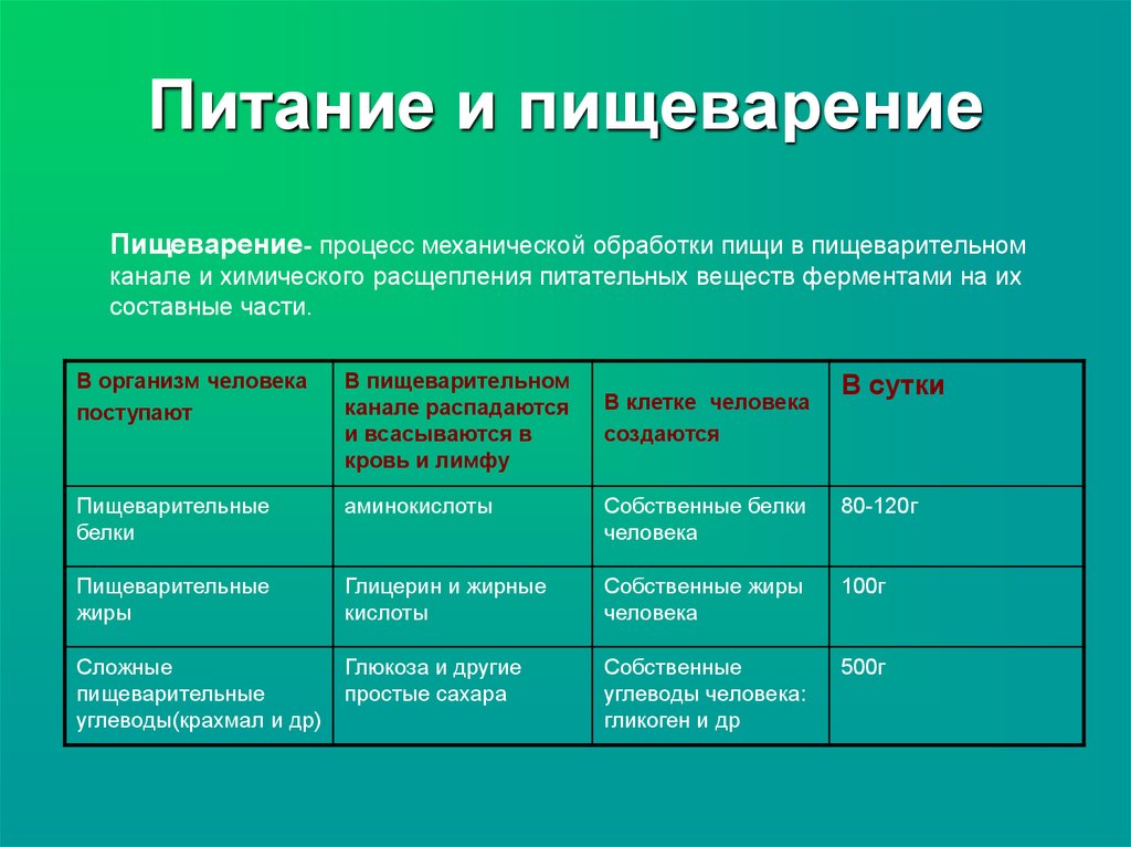 Пищ 6 3. Биология питание и пищеварение. Питание и пищеварение таблица. Механический процесс пищеварения. Питательные вещества желудка.