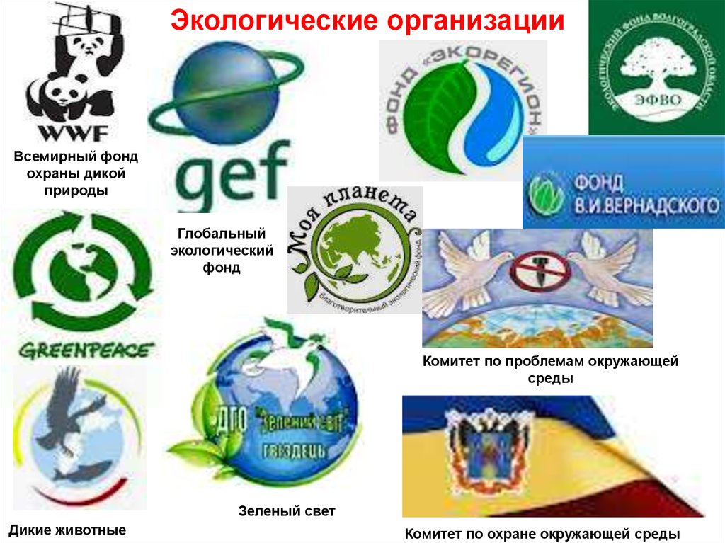 Природные организации россии