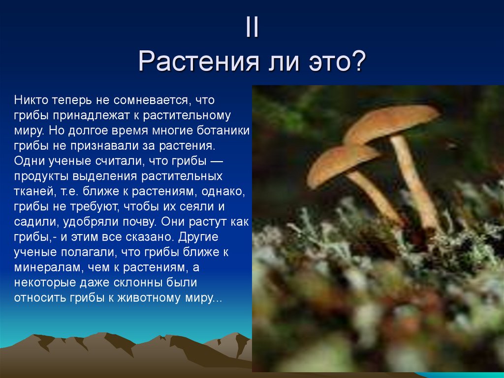 Презентация про грибы 7 класс биология