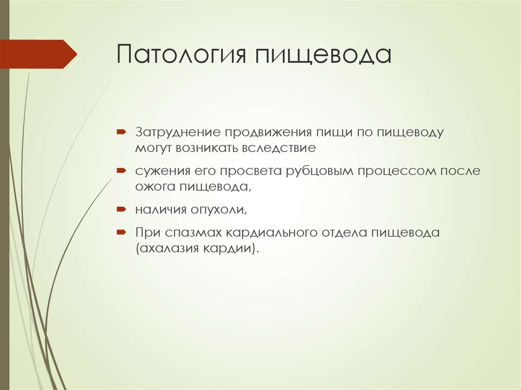 Патология ответы