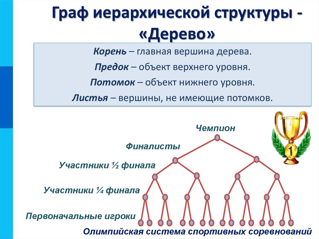 Иерархическая система общества. Иерархическая структура дерево. Информационные модели на графах.