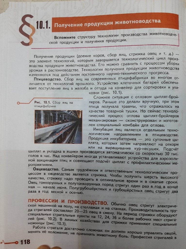 Доклад: Производство и переработка продукции животноводства