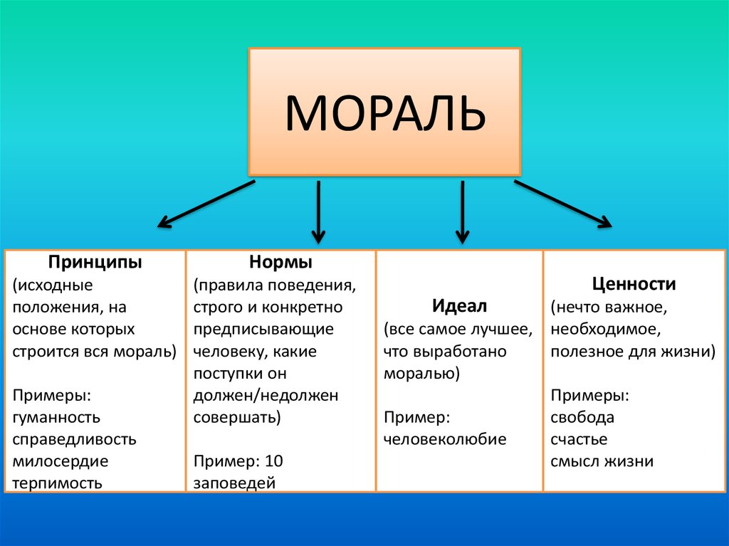 Принцип человеческой жизни. Основные принципы и нормы морали. Мораль основные принципы и нормы морали. Мораль принципы нормы и к. Моральные категории принципы и нормы.