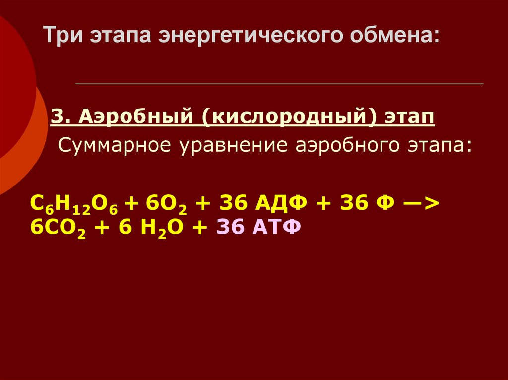 Сколько атф в кислородном этапе