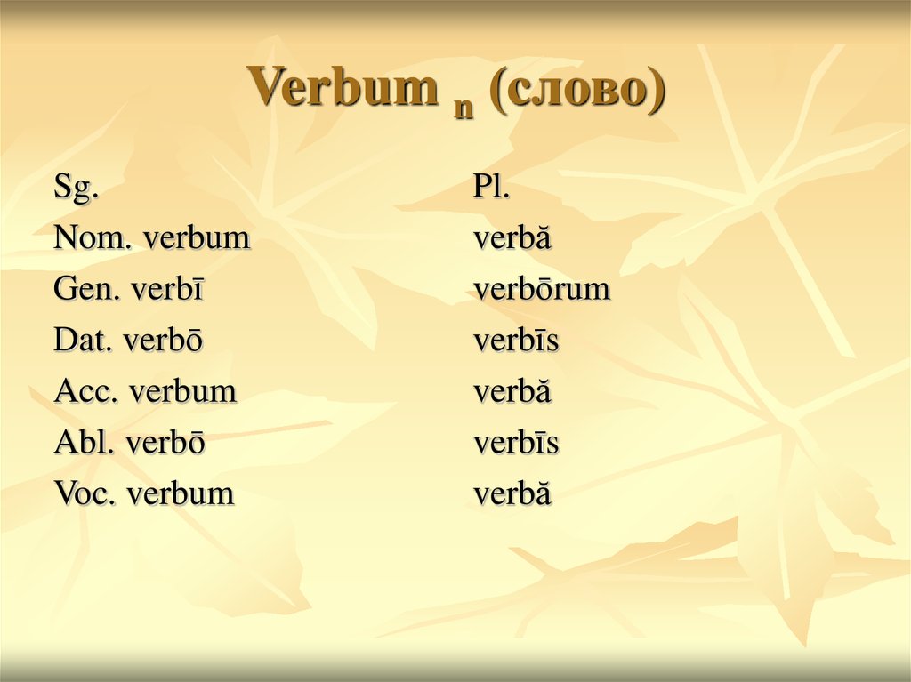 Verbum n (слово)