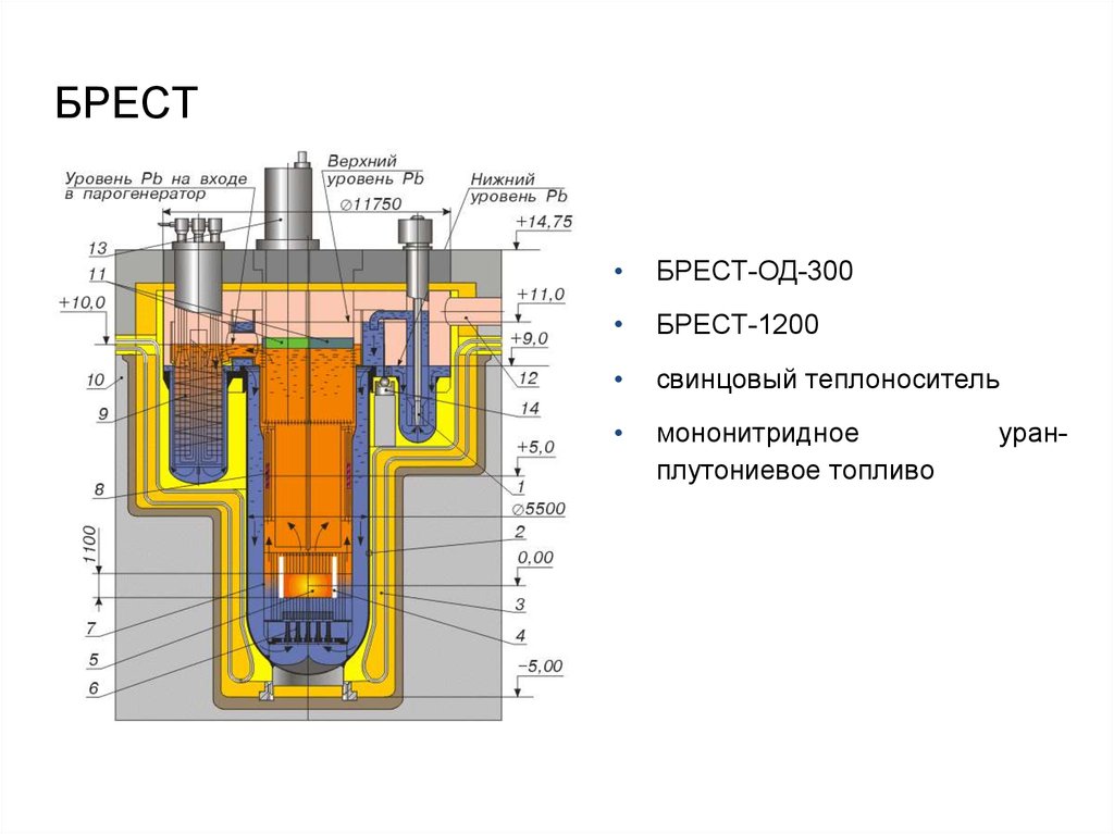 Быстрее свинца. ТВС Брест-300 конструкция. Энергетический ядерный реактор схема. Тепловой ядерный реактор схема. Тепловая мощность 300 МВТ реактора.
