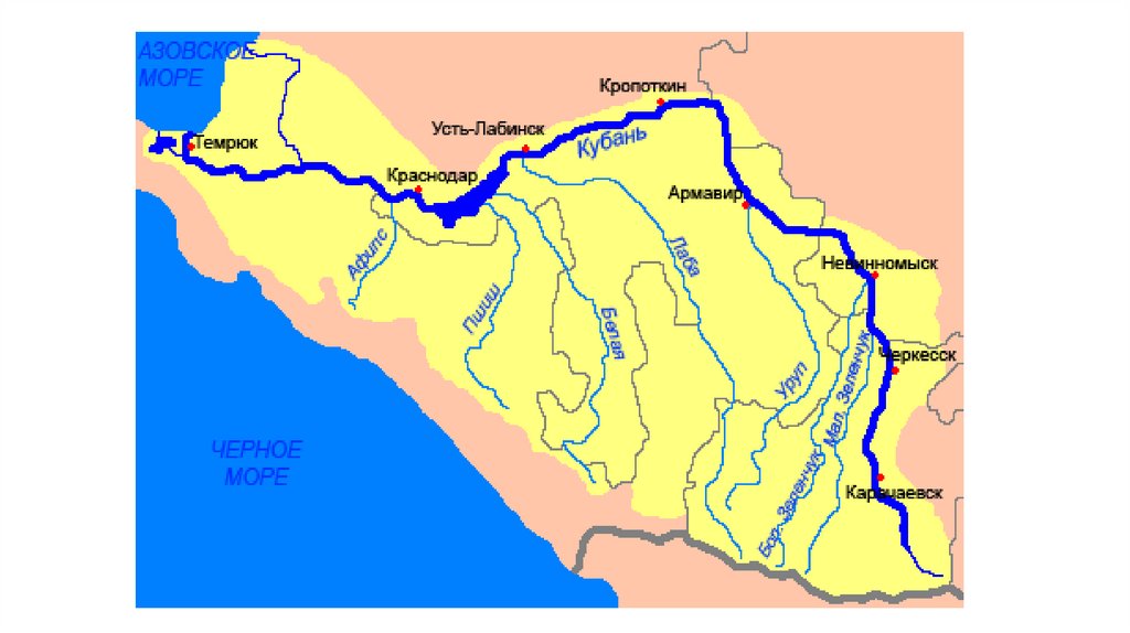 Растительность реки кубань схема