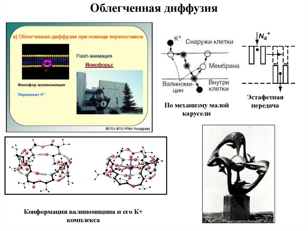 Облегченная диффузия. Облегченная диффузия лекарственных средств. Облегченная диффузия механизм транспорта. Облегченная диффузия с фиксированным переносчиком. Облегченная диффузия, модель «пинг-понг».