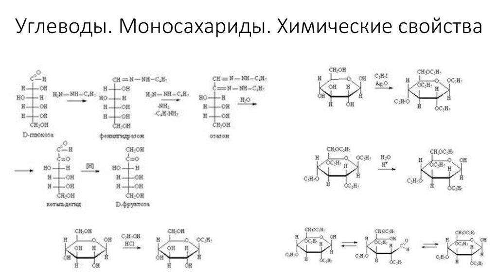 Химические свойства углеводов