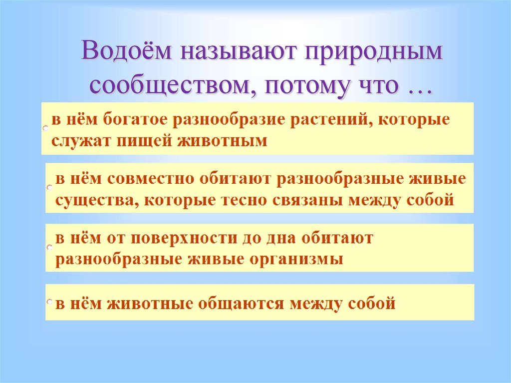 Назван потому что