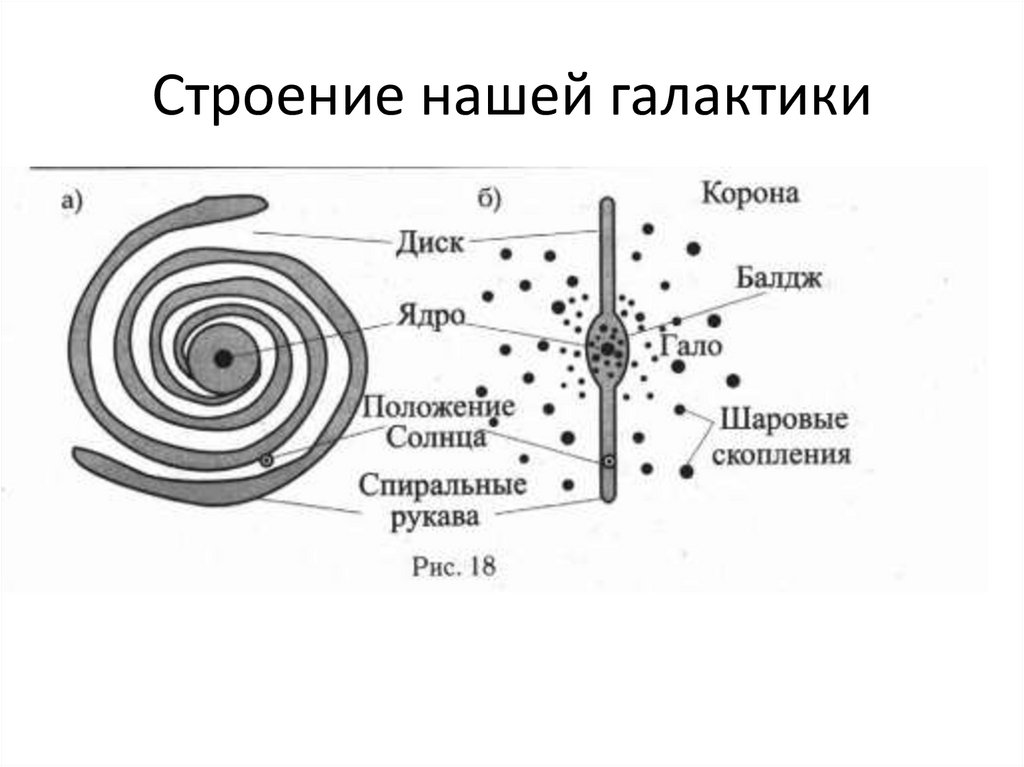 На приведенном рисунке изображена схема строения электронных