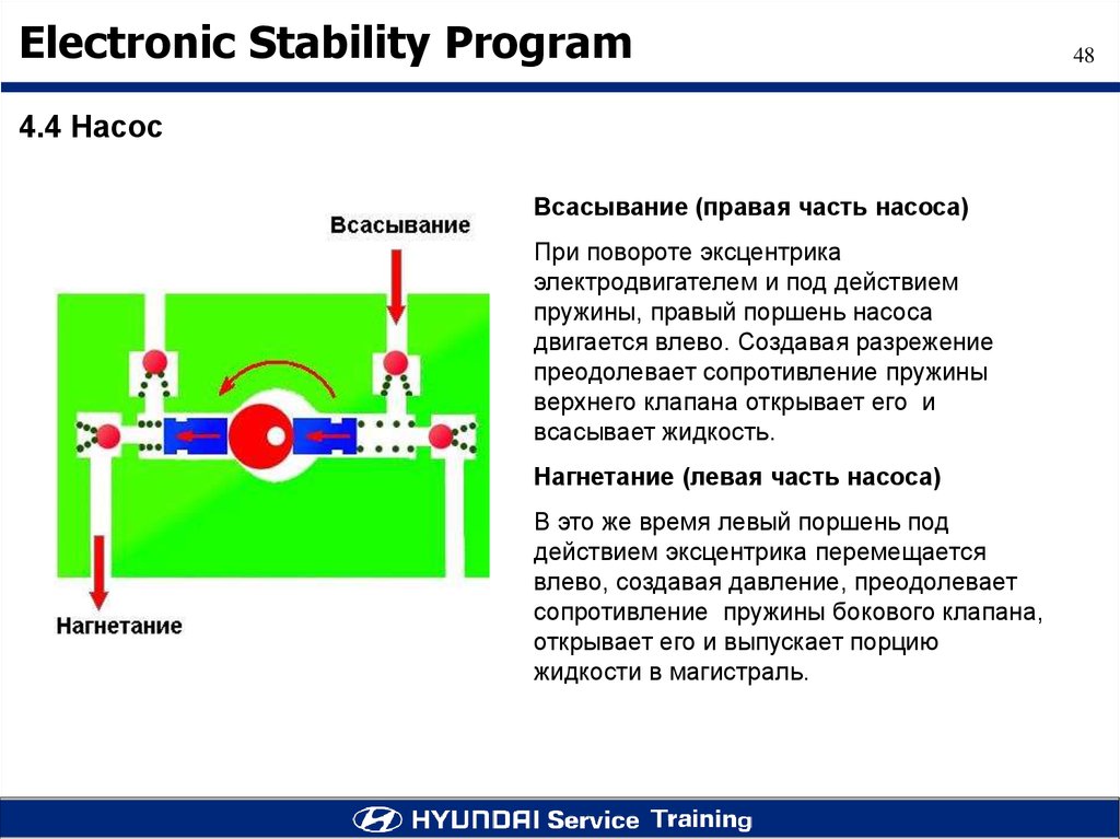 Stable program